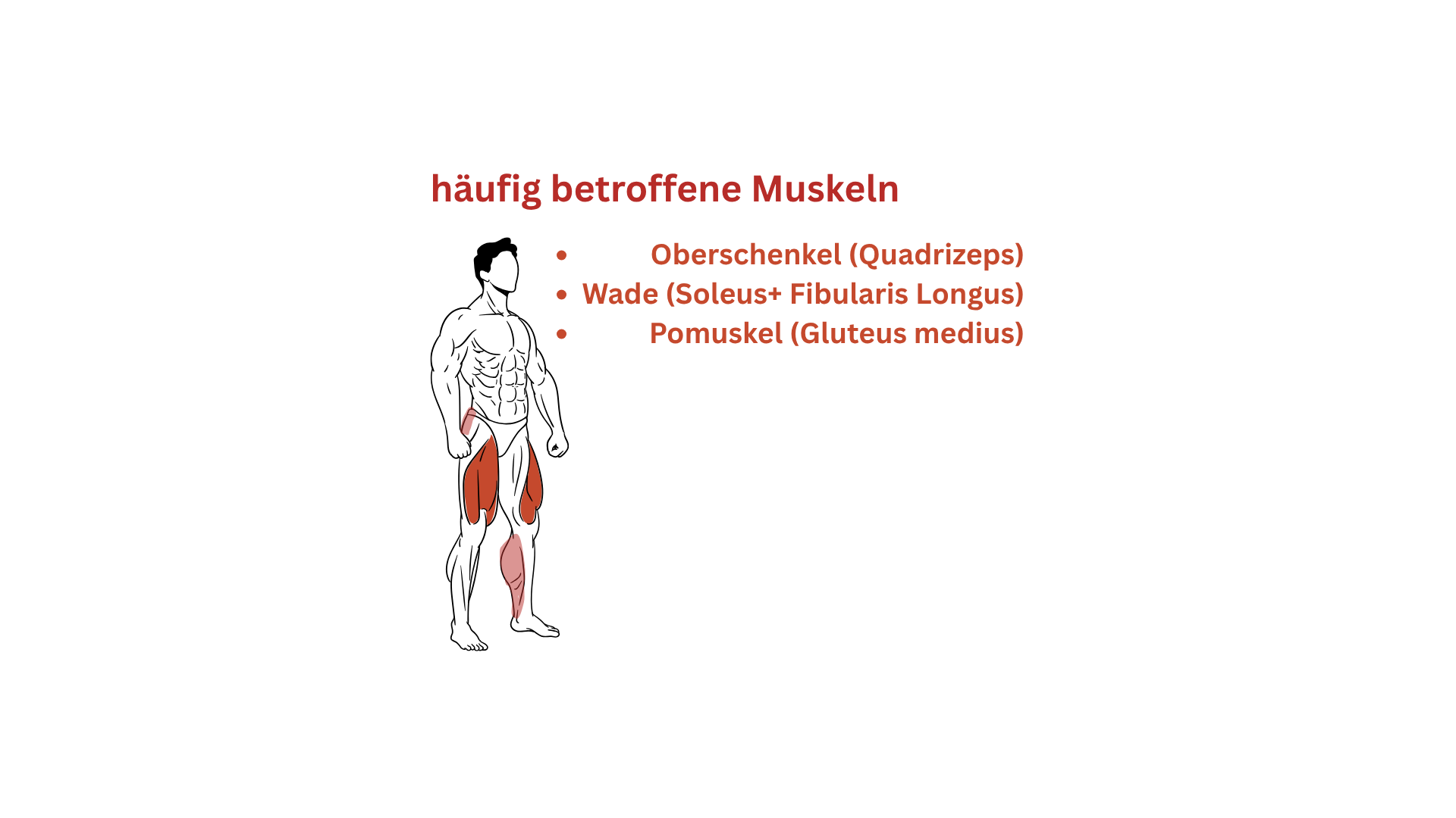 Muskeln Physiotherapie Muskelschwund